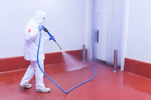 Best Solar Panel Cleaning  in Sand Ridge, NY